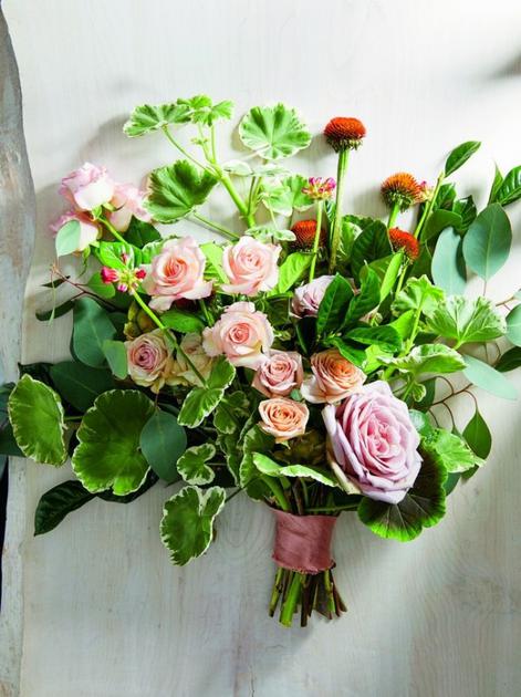 NKIN-hcikcev5926481.jpg NKIN-hcikcev5926481.jpg