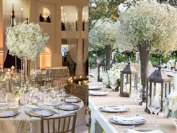 auqK-fypvuqf1153577.jpg auqK-fypvuqf1153577.jpg